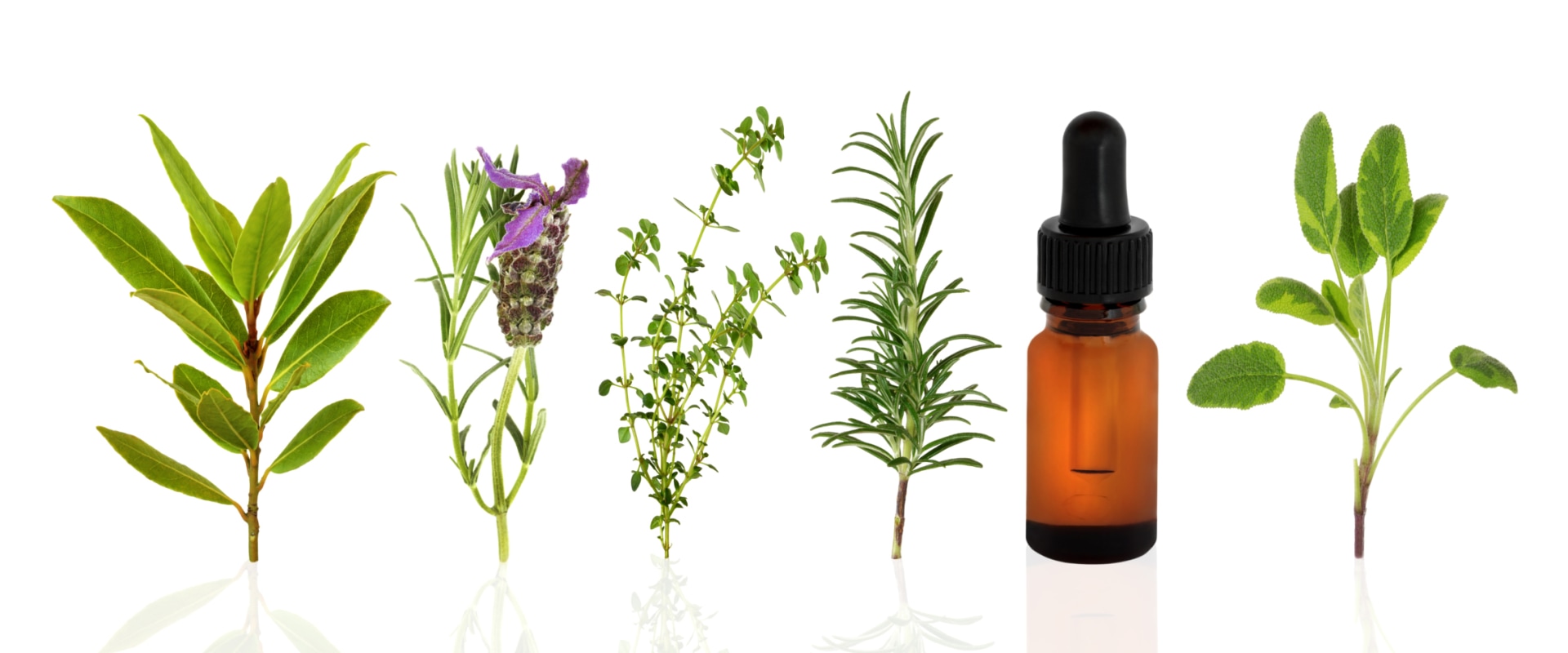 what-essential-oils-can-be-used-directly-on-the-skin