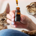 Essential Oils for Cats: What You Need to Know